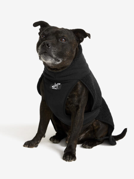 Bigfoot Dog Jacket Hund Black, Størrelse:50 - Tilbehør > Hund