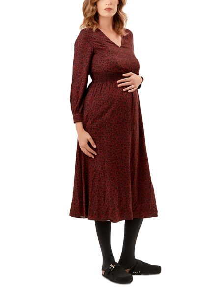 Nom Maternity Leila Floral Print Maternity Nursing Dress