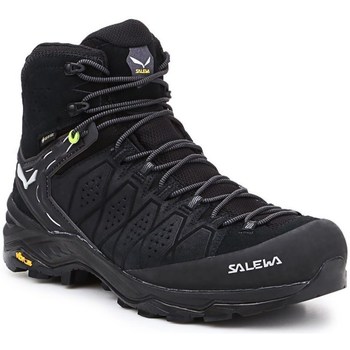 Vandresko Salewa MS Alp Trainer 2 Mid Gtx